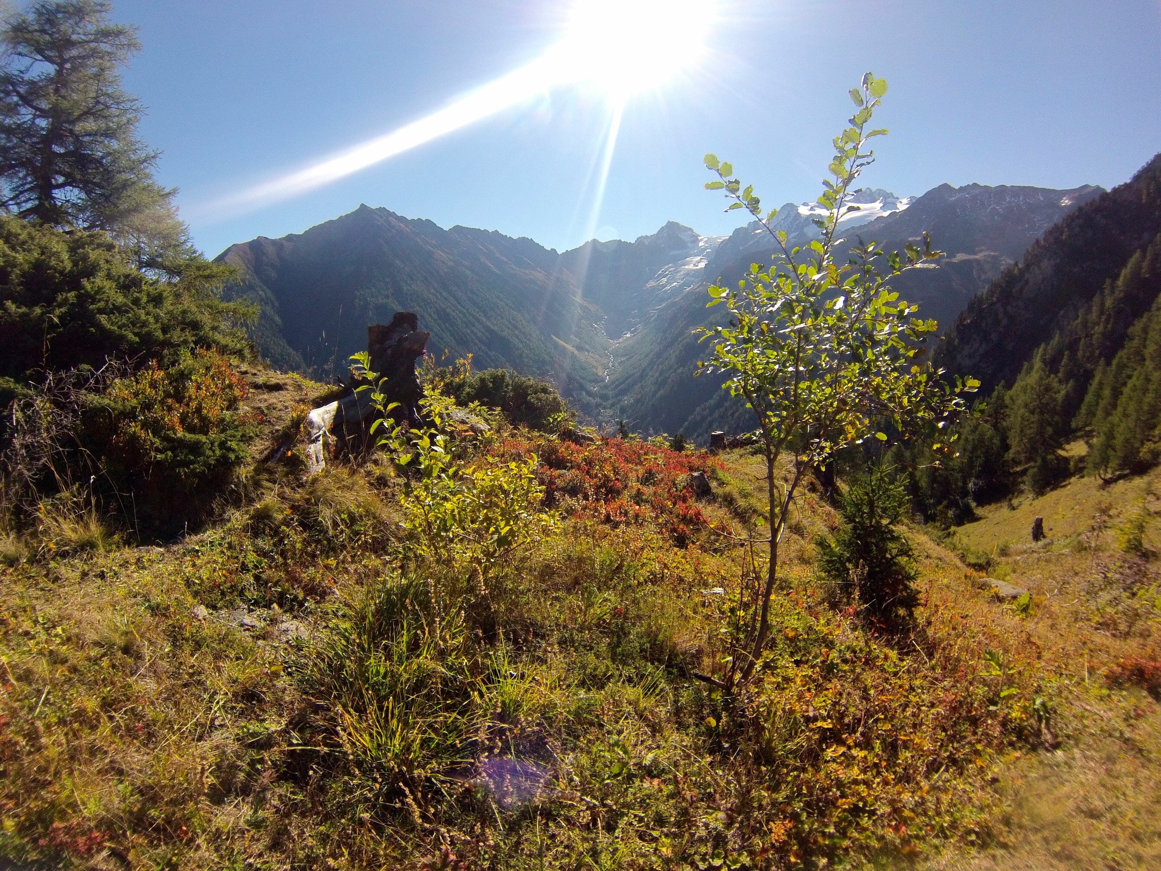 Looking over the Col de Forclaz with the Rhône valley in the distance, during a morning trail run above Trient.