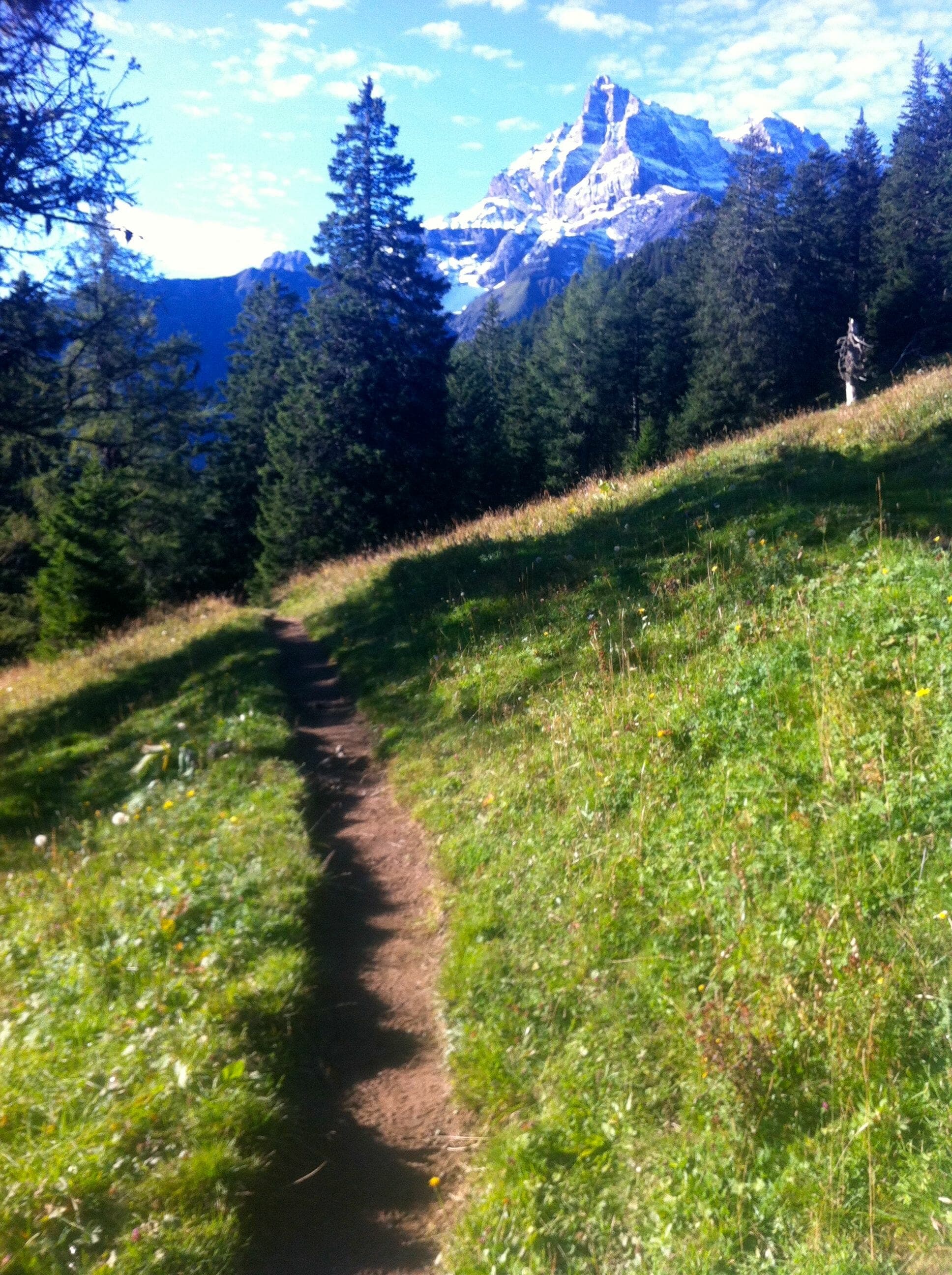 On the way to Vérossaz, the halfway mark. A nice morning to be out for a run!