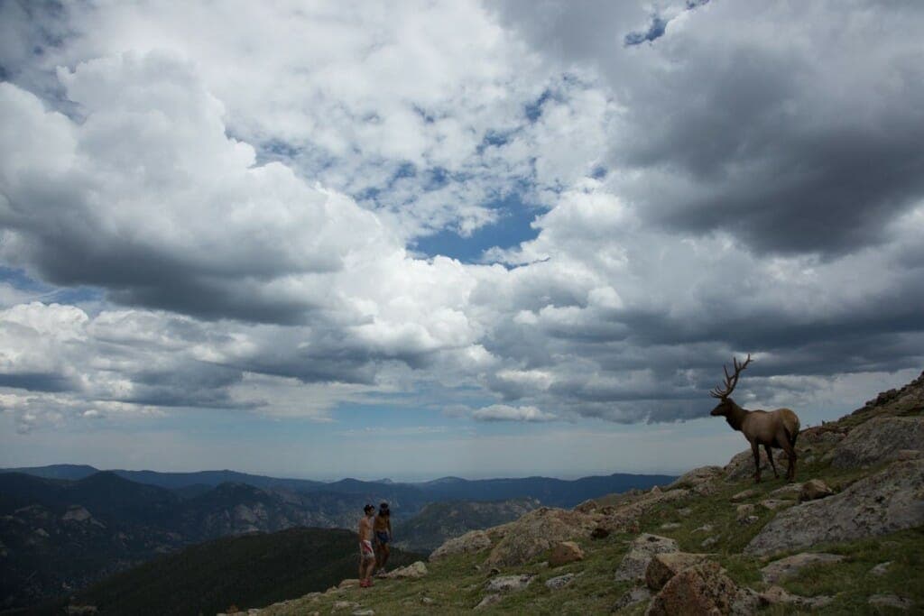 Pablo and Kilian Jornet meet a mountain friend, during the filming of "Kilian's Quest." (Photo by Seb Montaz-Rosset.)