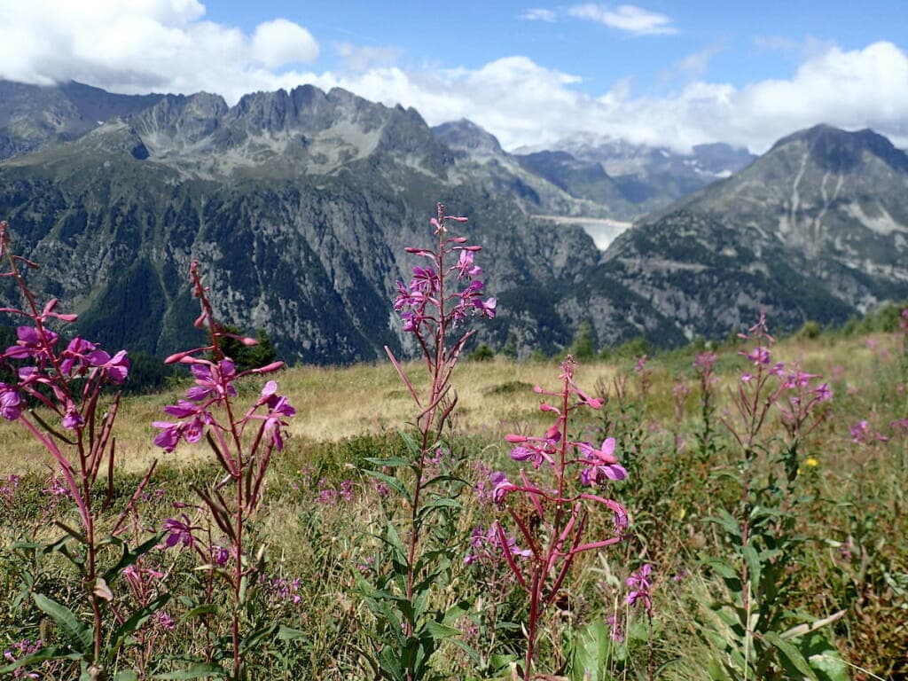 A brief window of sun near the border of France and Switzerland.