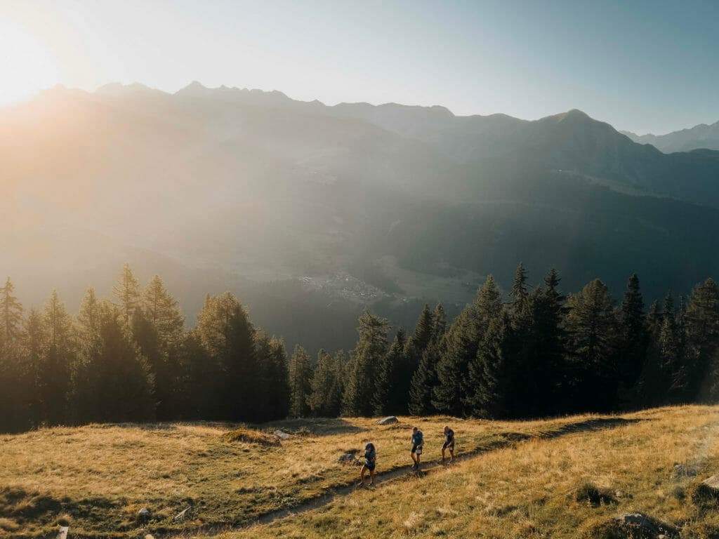 Swiss Alps 100