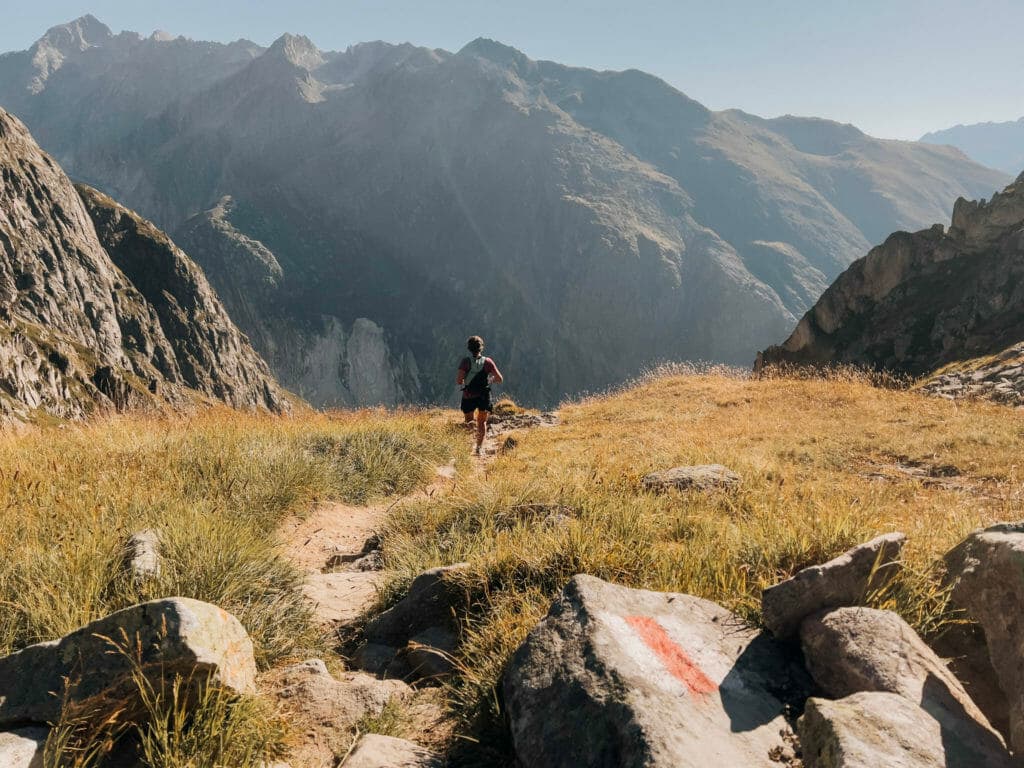 Swiss Alps 100