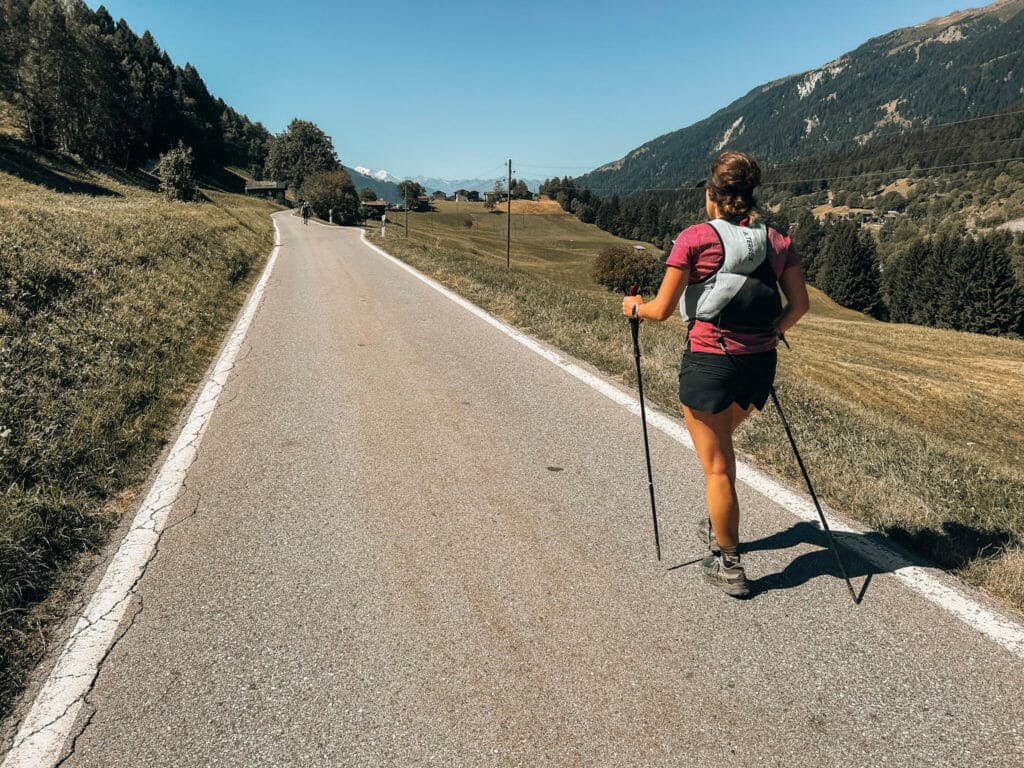 Swiss Alps 100