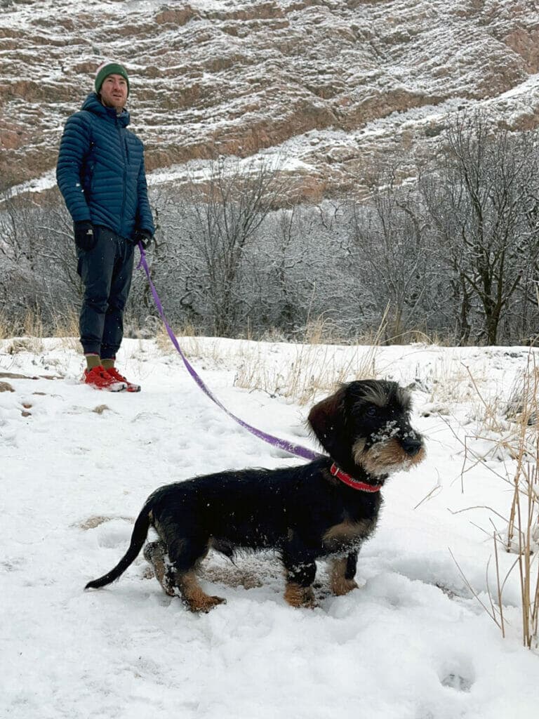 Welly trail puppy