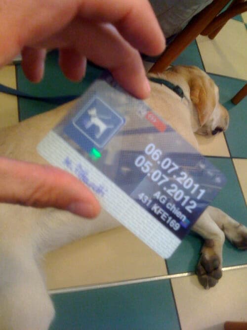 tumblr_lpaky4rmGq1qkgsp6o1_500