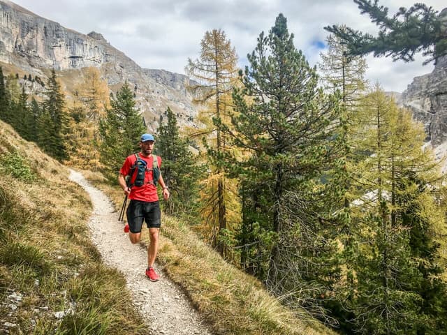 As the mist burnt off we climbed through forest vibrant and striking with its red leafed rowan and yellow larch contrasting strongly with the ever dark spruce.