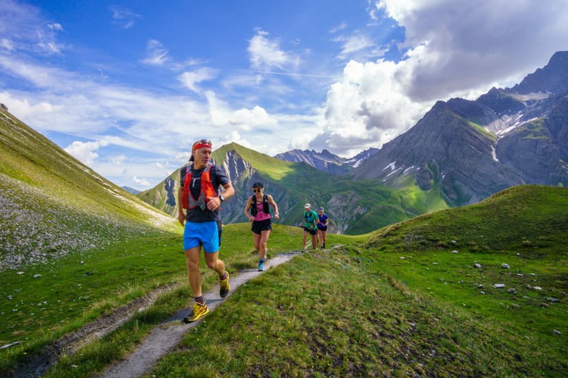 Guide with three trail runners on a single track in a pasture above treeline