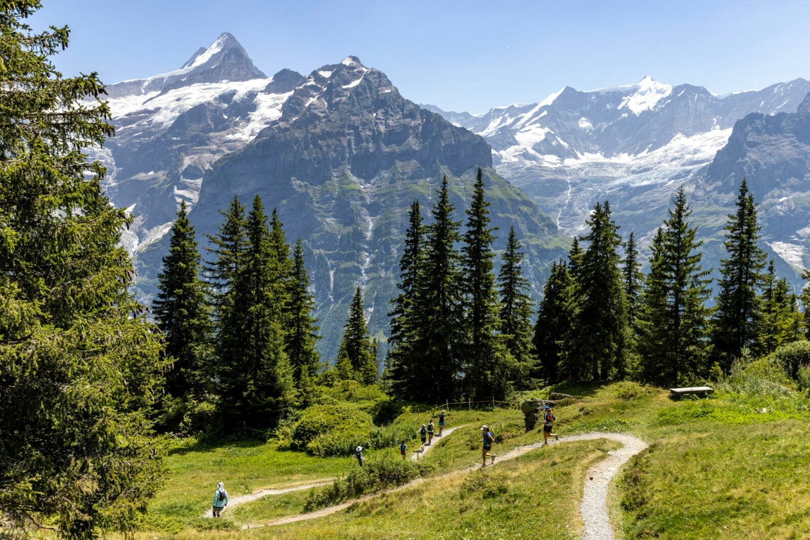 Grindelwald trails switzerland