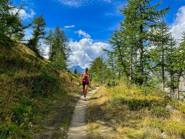 TMB singletrack