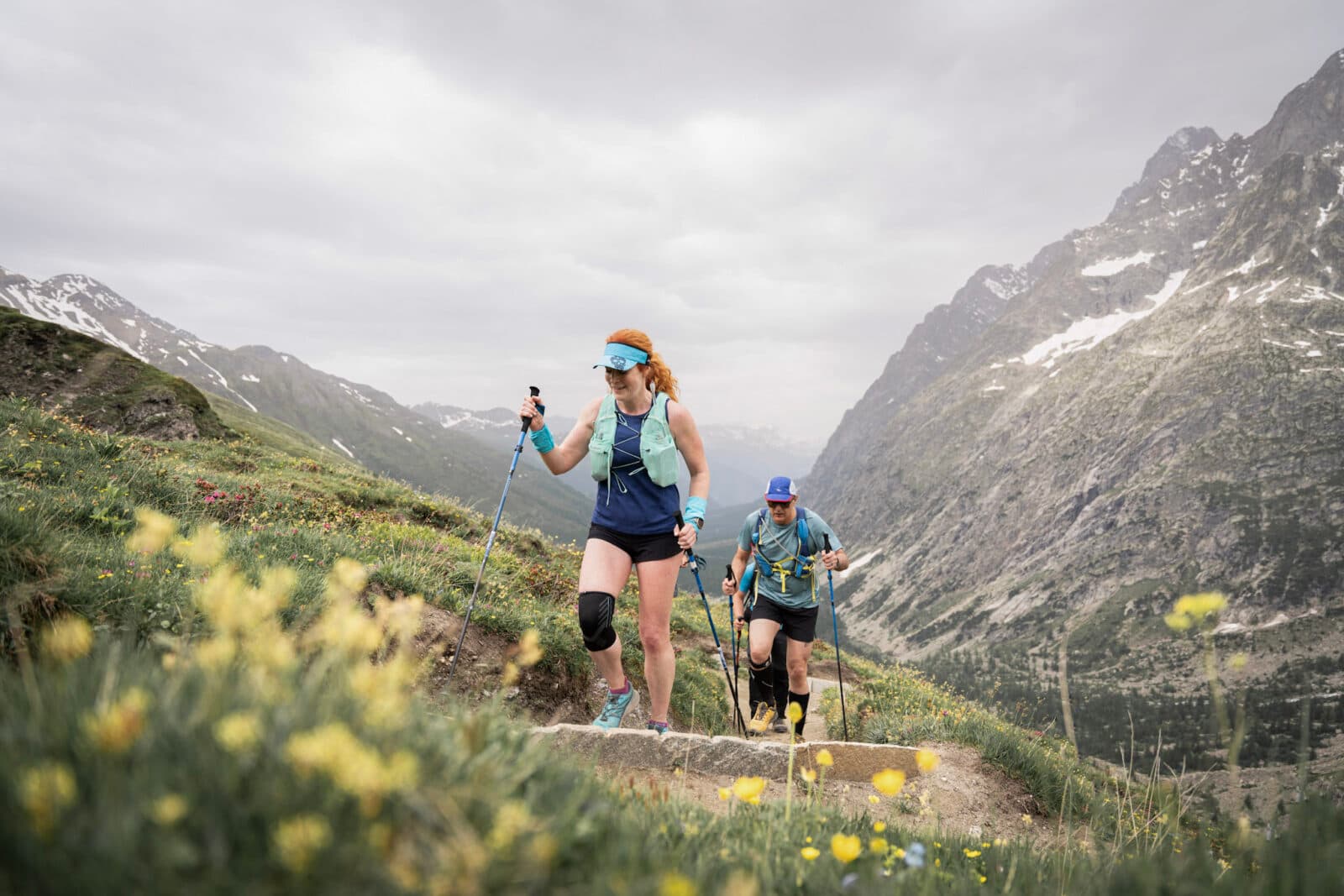 Val Ferret, yellow flowers