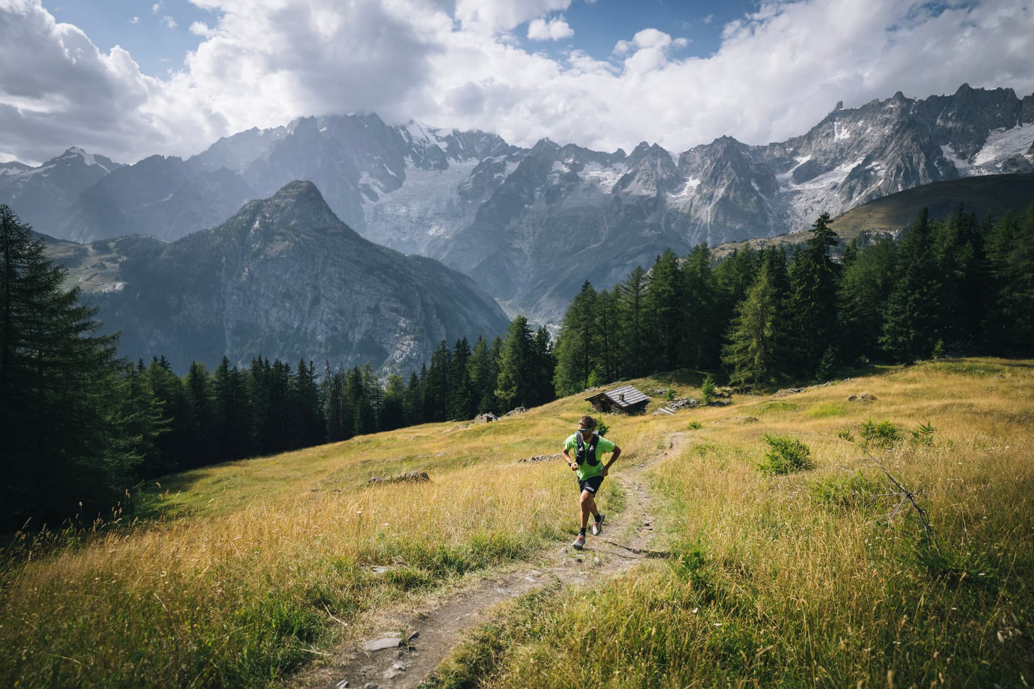 Runner runs single track through grassy frail with forest and mountains in the background