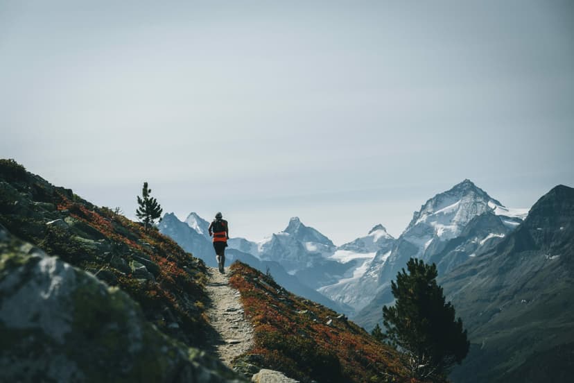 Runners on the move along the classic high-elevation Sierre-Zinal single track, which features big views and easy cruising