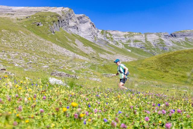 A trail runner in colorful alpine pastures