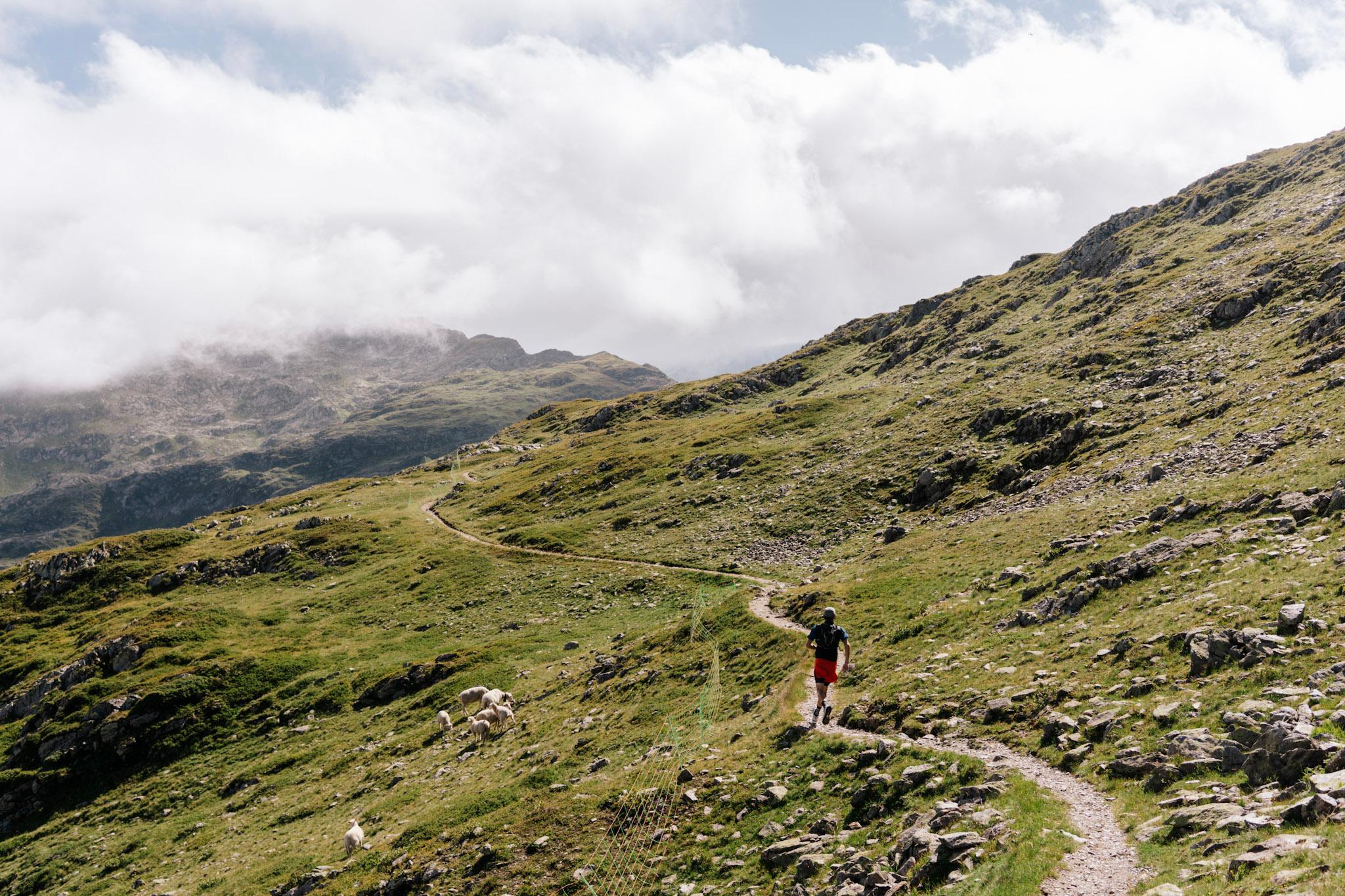 Runner on winding single Trail on grassy mountain