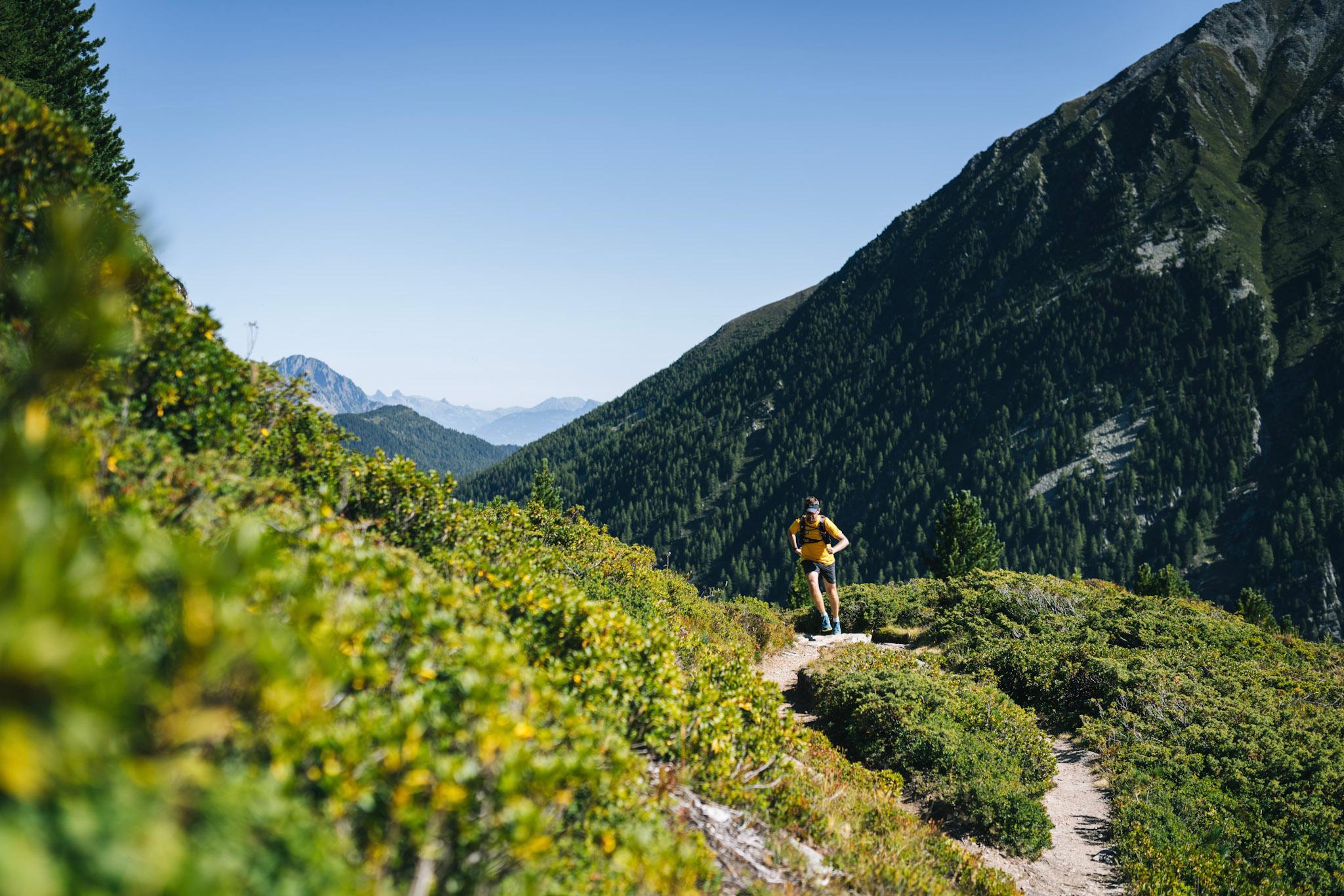 runner runs up hill through sub alpine foliage