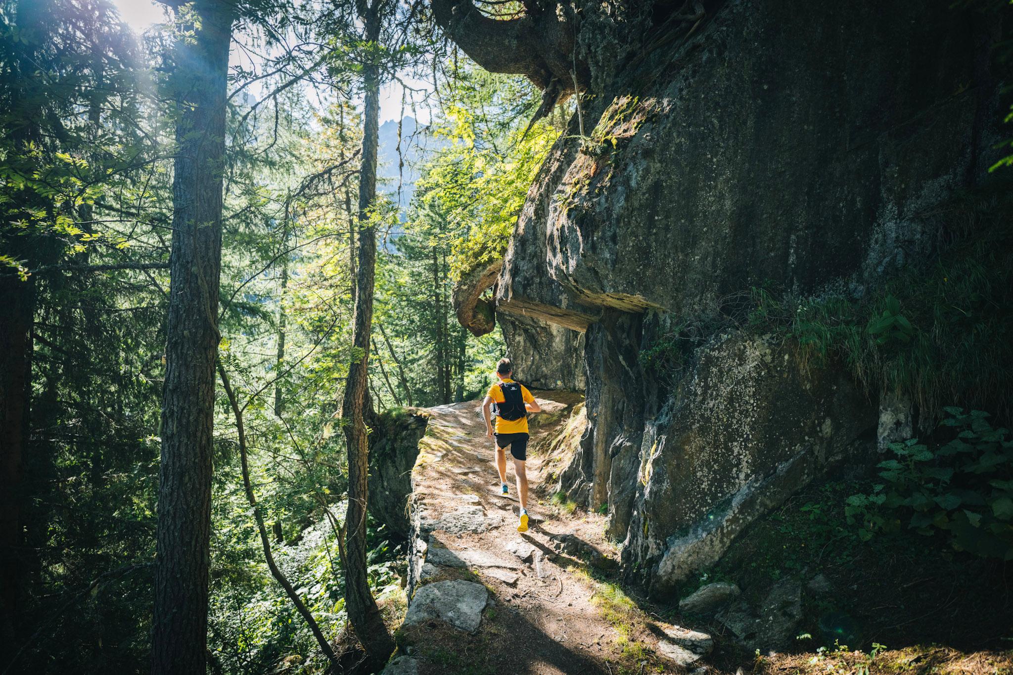 runner running up hill in forest in morning light