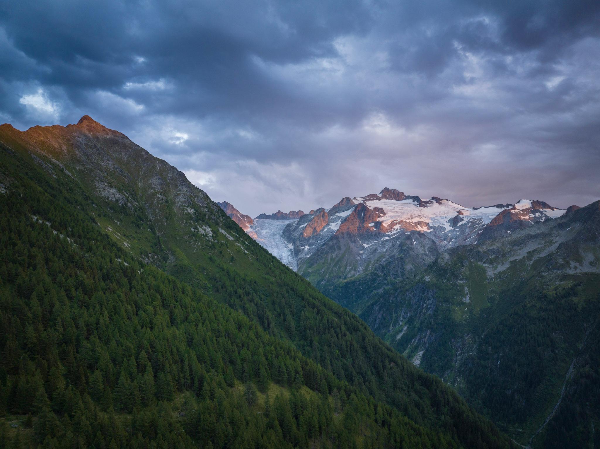 Forested hillside with snowy mountains in the background at sunrise