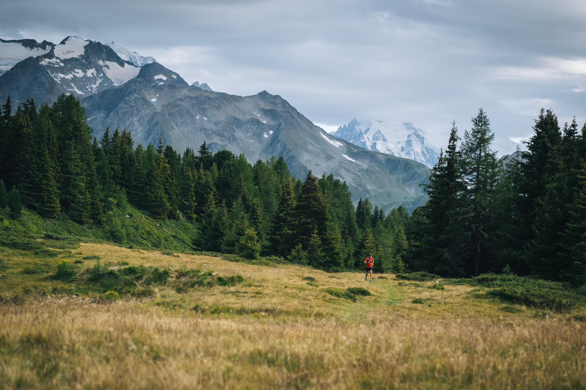 Runner in distance in alpine meadow with forest behind