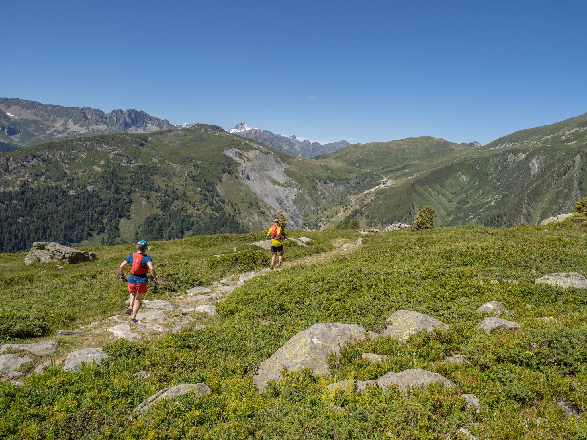 2 runners run slightly downhill on single track just out of the tree line with Mountain View’s