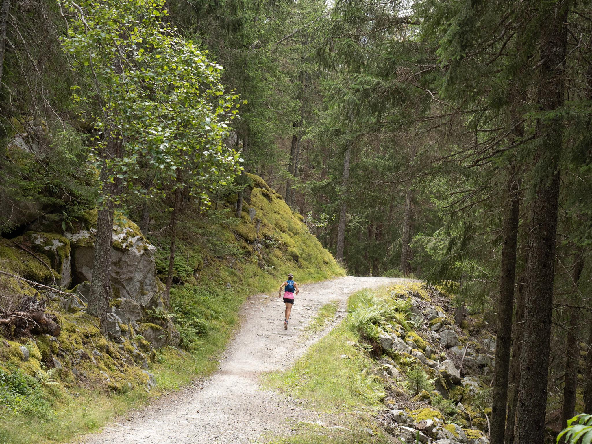 Runner runs through Forest on open double track