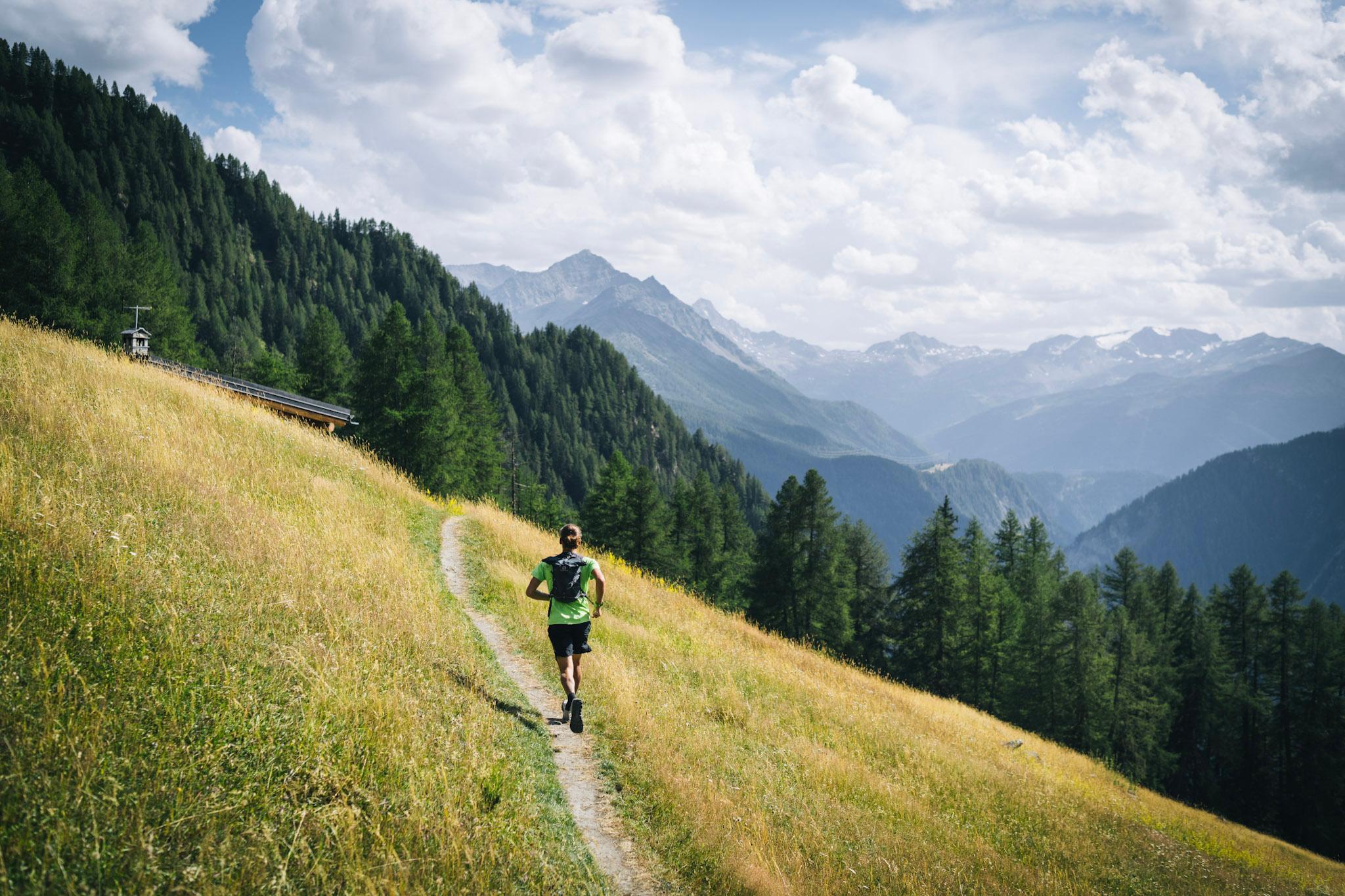 Runner runs single track through grassy frail with forest and mountains in the background