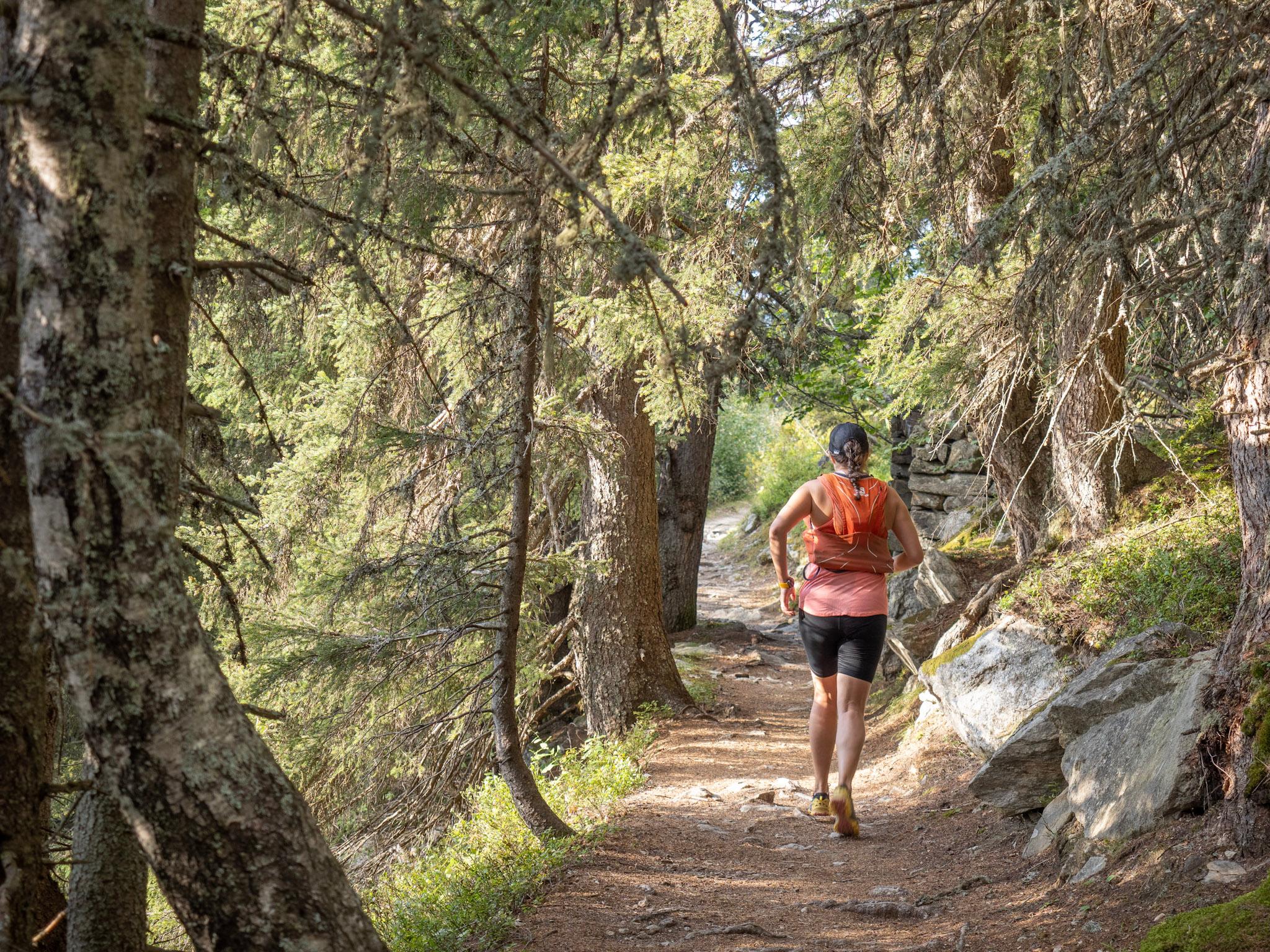 runner runs through woodland