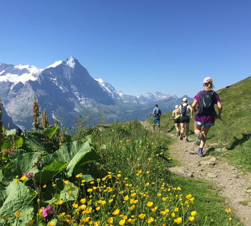 Bernese Oberland Tour – The full Swiss experience