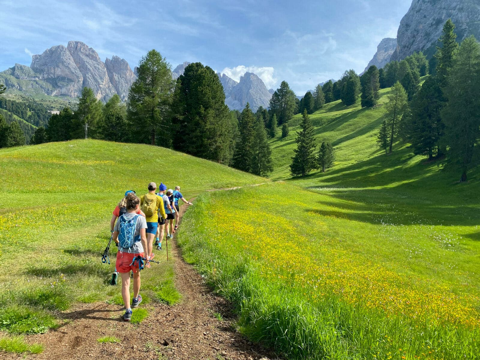 Dolomites meadows