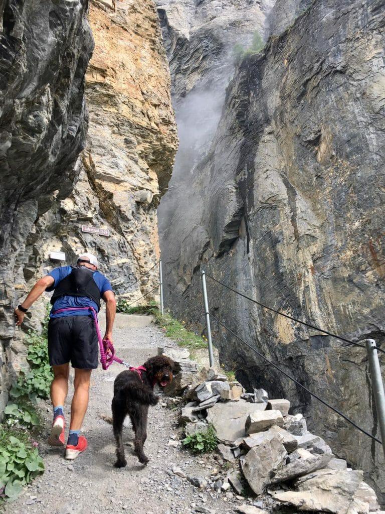 A runner and his dog run up the Gemmi Pass route