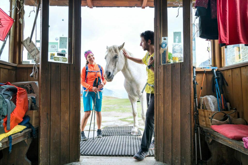 A horse at an entrance to an Italian hut